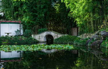 Obraz premium bridge over the river