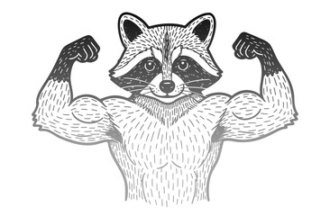 strong muscular raccoon showing biceps sketch