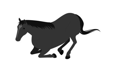 A black horse sitting and resting