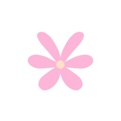 pink flower on white background