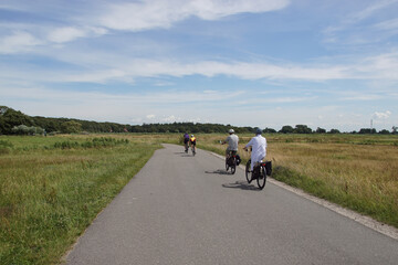 Narrow road through meadows with cyclists with helmets on racing bikes and electric bicycles. Netherlands. Near the village of Bergen. Summer, July.