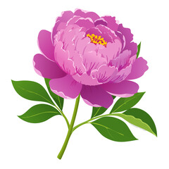 Elegant Vector Illustration of a Blooming Peony Flower on Black Background