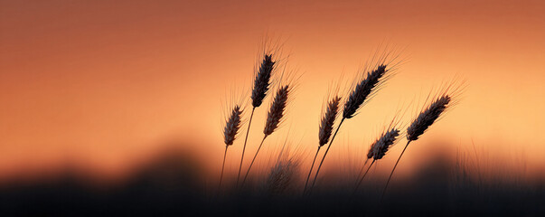 Golden wheat ears against a warm sunset sky. Evokes feelings of peace, nature, and abundance. Ideal for agriculture, food, or inspirational themes.