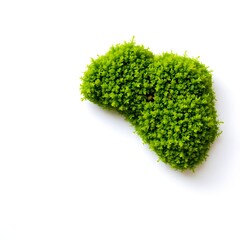 Lush Green Moss Clump, Vibrant Natural Texture on White Background
