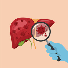 Human Liver Organ with Viruses Illustration, Medical Infection Concept