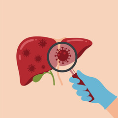 Human Liver Organ with Viruses Illustration, Medical Infection Concept