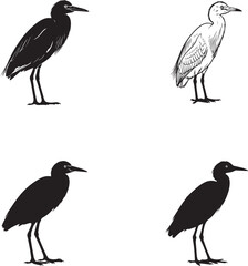 Obraz premium Cattle Egret Silhouettes
