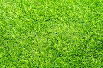 Synthetic grass is suitable as a background for product photos