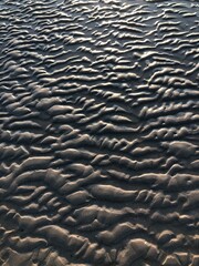 gray beach wavy sand ripples dune texture wallpaper pattern background close-up
