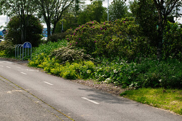 Scenic pathway surrounded by plants and bicycle racks in Reykjavik, Iceland