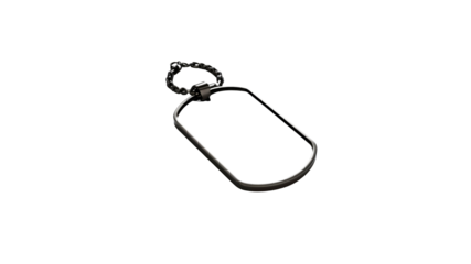 Blank Metal Dog Tag Pendant with Chain - Military ID Tag Mockup