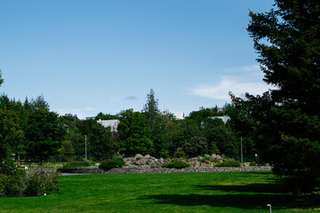 Green park landscape in Reykjavik, Iceland with trees, rocks, and blue sky