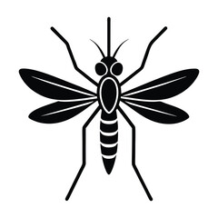 vector line art of mosquito on white background.