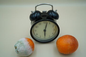 Clock marks time between two oranges, one fresh and one moldy, showcasing the contrast of freshness...