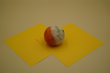 Moldy orange rests on vibrant yellow papers showcasing a juxtaposition of freshness and decay in a...
