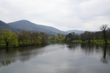 Serene waters reflect soft clouds as young trees bloom along the riverbank in a tranquil valley...