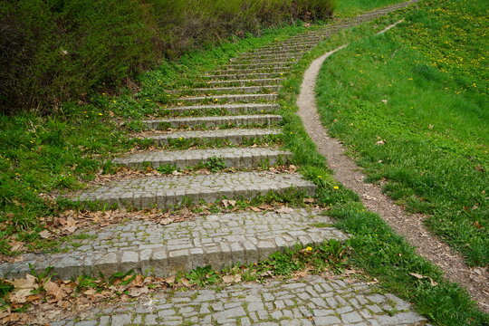 Winding path and stone steps create a serene journey through lush greenery in a tranquil park at sunrise