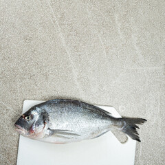 Raw Uncooked Dorado Sea Bream Fish, Place for Text