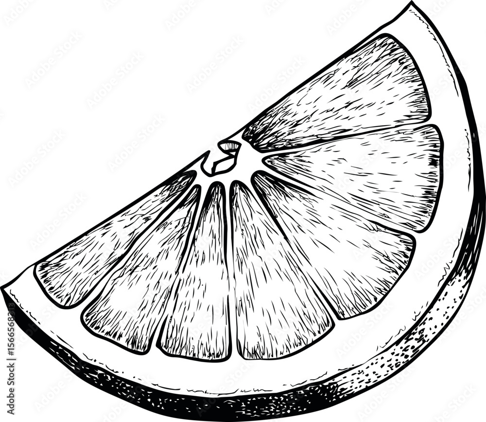 Poster Detailed black and white sketch of a grapefruit slice, crosshatch shading