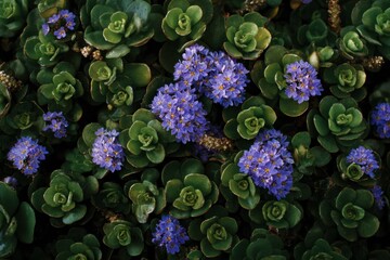 vibrant blue flowers bloom amidst lush green leaves, creating a harmonious blend of color and texture