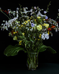fiori di giardino