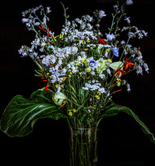 fiori di giardino