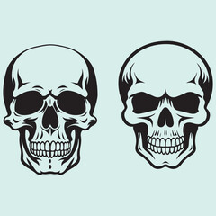 Detailed Human Skull Silhouette Vector Collection