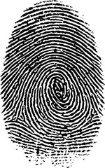 Black and white fingerprint with intricate spiral pattern
