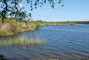 Beach and wetland area at the Baltic Sea on northern Oland island, Sweden.
