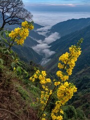 A Symphony of Yellow Flowers in a Mountainous Landscape