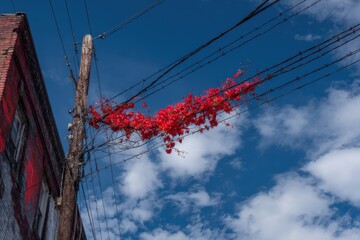 Red Vines Dance in the Blue Sky