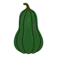 Cartoon Pumpkin. Autumn stylized pumpkin.