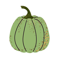 Cartoon Pumpkin. Autumn stylized pumpkin.