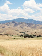 Obraz premium A Serene Mountain Range Overlooking a Golden Field