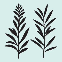 Fototapeta premium Herbal Rosemary Silhouette Collection for Kitchen and Wellness Graphics