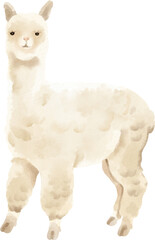 watercolor alpaca
