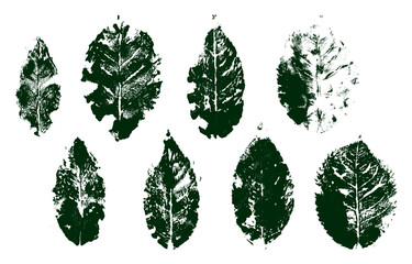 Vector illustration of eight unique textured leaf prints created by hand using paint. Organic shapes with natural texture perfect for nature designs, eco themes