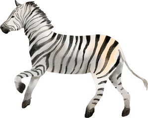 zebra watercolor