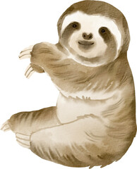 watercolor sloth © Je