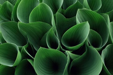 A Close-Up of Vibrant Green Leaves in Harmony