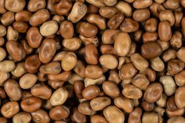 Edible Horse Garden Beans Vicia Faba Macro Top View