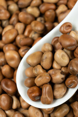 Dried vicia faba beans in a spoon close-up