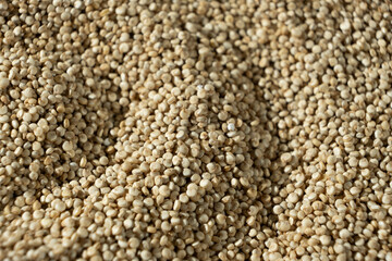 Uncooked White Quinoa Macro. Natural Grain Background