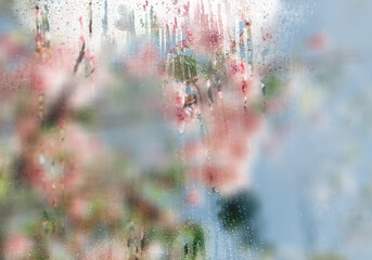 Spring flowers and blooming trees viewed through foggy glass with water droplets. Soft focus, dreamy seasonal background perfect for wallpapers and mood visuals