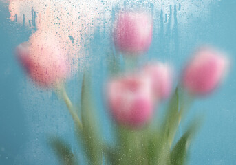 Spring flowers and blooming trees viewed through foggy glass with water droplets. Soft focus, dreamy seasonal background perfect for wallpapers and mood visuals
