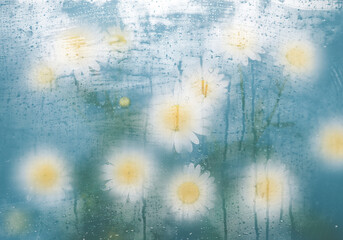 Spring flowers and blooming trees viewed through foggy glass with water droplets. Soft focus, dreamy seasonal background perfect for wallpapers and mood visuals