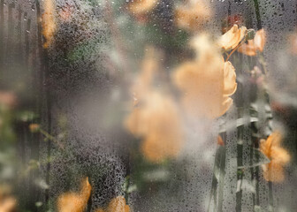 Spring flowers and blooming trees viewed through foggy glass with water droplets. Soft focus, dreamy seasonal background perfect for wallpapers and mood visuals
