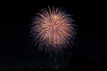 Obraz premium Fireworks burst against the night sky illuminating the cityscape with radial bursts of light and color