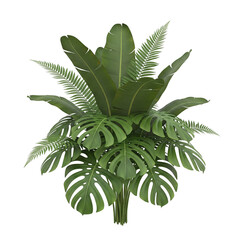 Tropical Texture: Botanical Fusion in Design