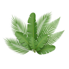 fern leaf isolated on white
